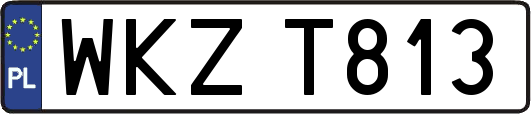 WKZT813