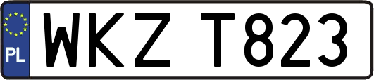 WKZT823