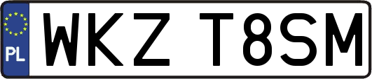 WKZT8SM