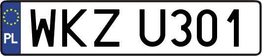 WKZU301