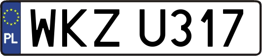 WKZU317