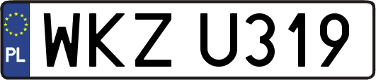 WKZU319