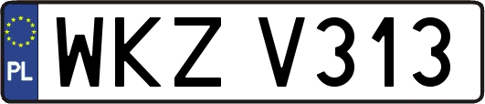 WKZV313