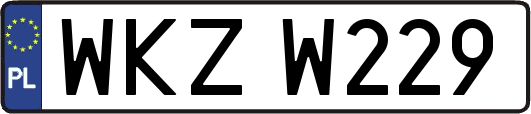 WKZW229