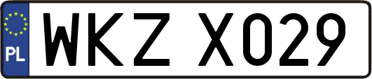 WKZX029