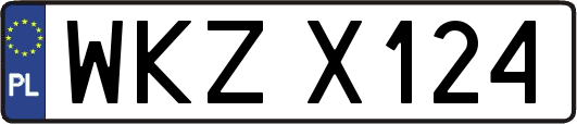WKZX124