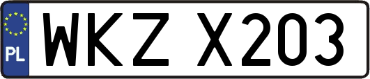 WKZX203