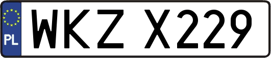 WKZX229