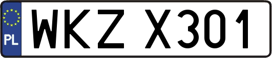 WKZX301