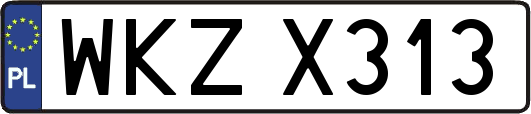 WKZX313