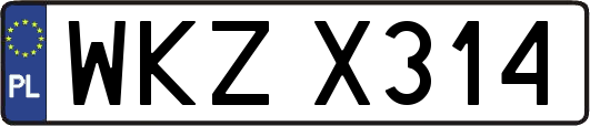 WKZX314