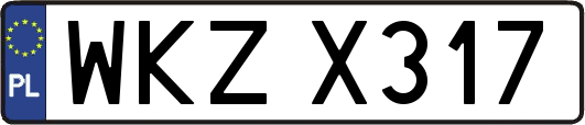 WKZX317