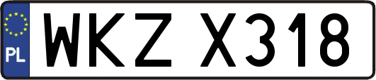 WKZX318