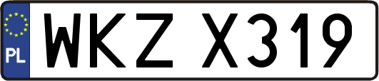 WKZX319