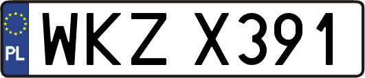 WKZX391