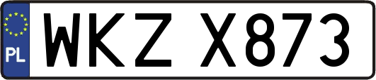 WKZX873