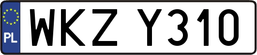 WKZY310