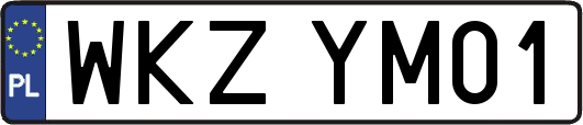 WKZYM01