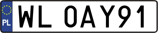 WL0AY91