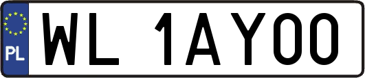 WL1AY00