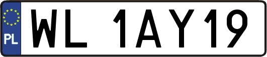 WL1AY19