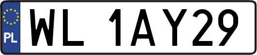 WL1AY29