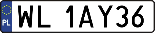 WL1AY36