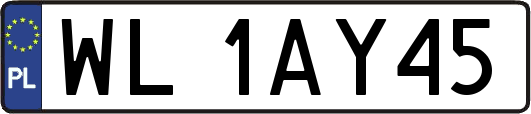 WL1AY45