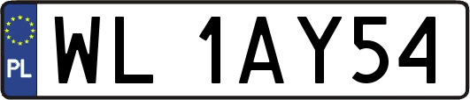 WL1AY54