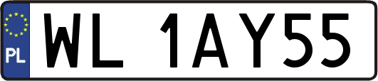 WL1AY55