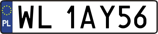 WL1AY56