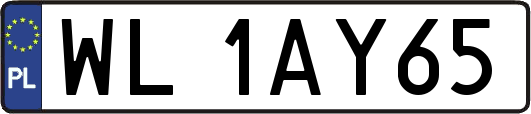 WL1AY65