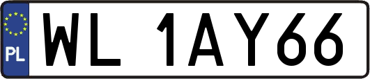 WL1AY66