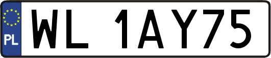 WL1AY75