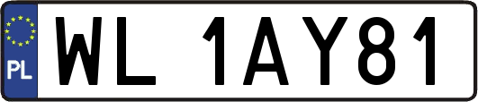 WL1AY81