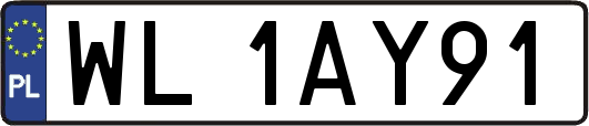 WL1AY91