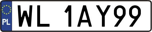 WL1AY99