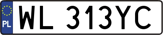 WL313YC