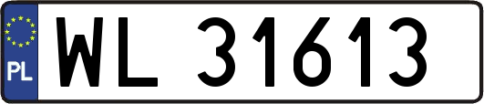 WL31613