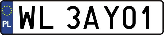 WL3AY01