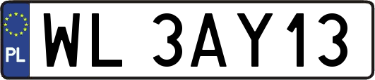 WL3AY13