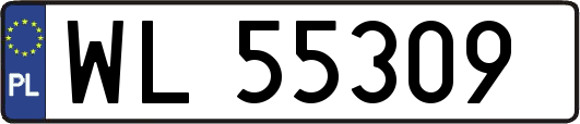 WL55309