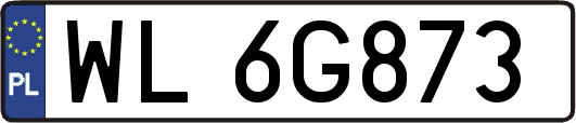 WL6G873