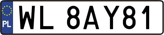 WL8AY81