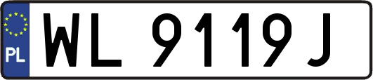 WL9119J