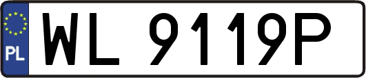 WL9119P