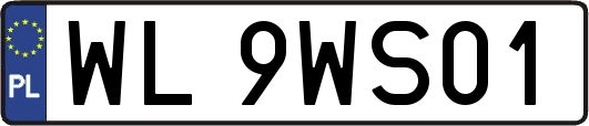 WL9WS01