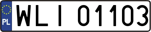 WLI01103