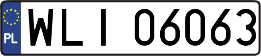 WLI06063