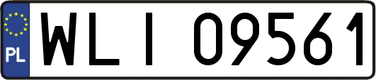 WLI09561